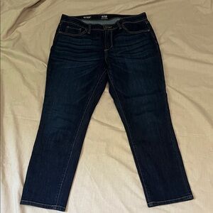 a.n.a Dark Indigo Skinny Crop Jeans Excellent Used Condition